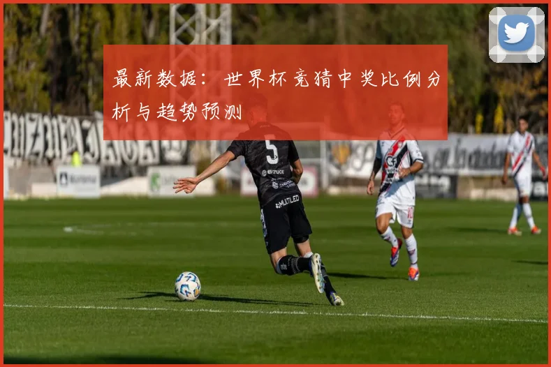 最新数据：世界杯竞猜中奖比例分析与趋势预测